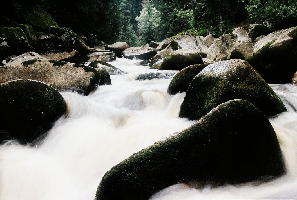 Bohemian Forest water picture