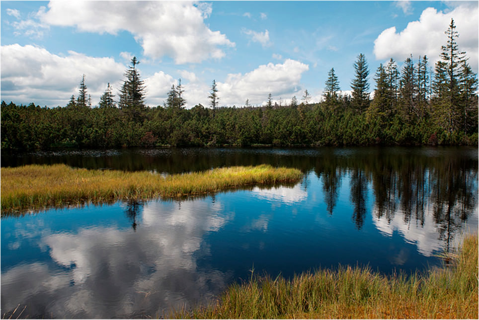 Photo of nature